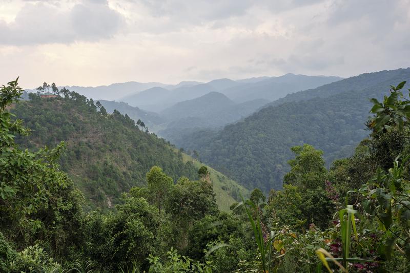 Rolling, layered hills landscape, Uganda