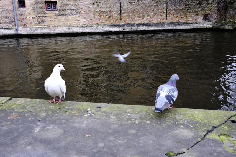 Bruges, Belgium