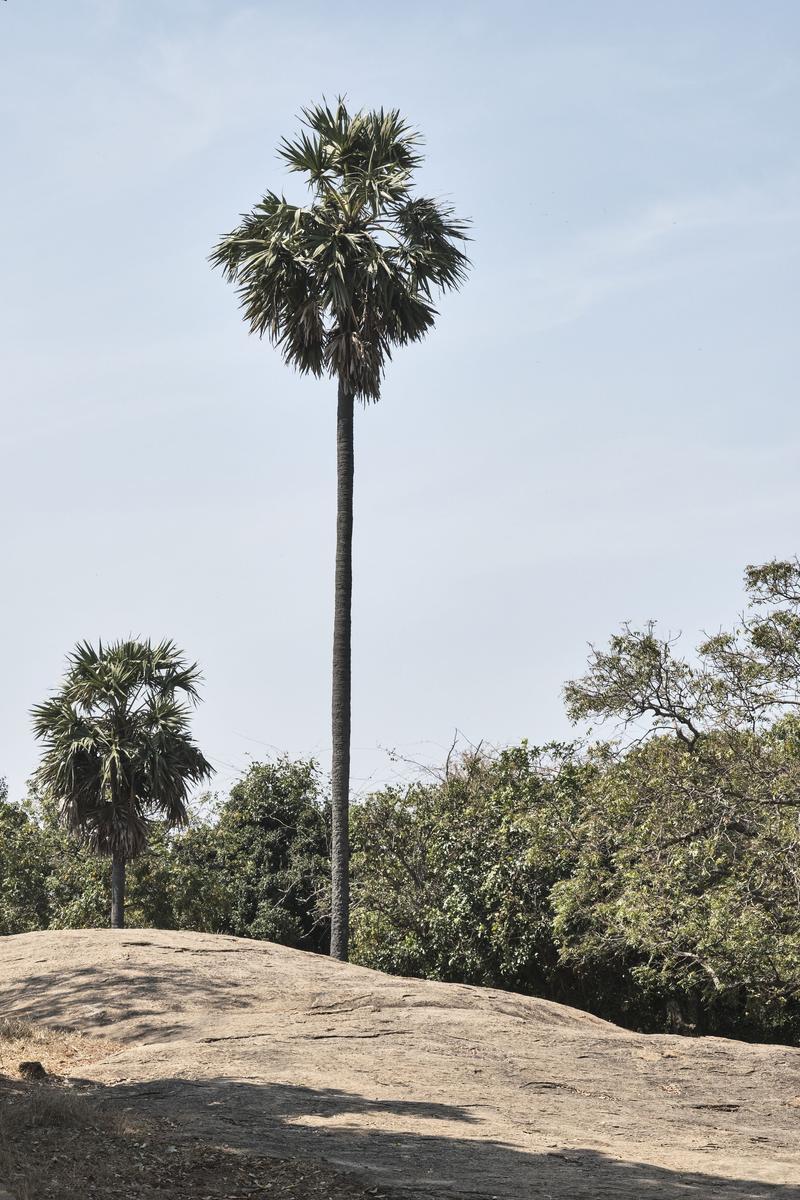 Chennai, India