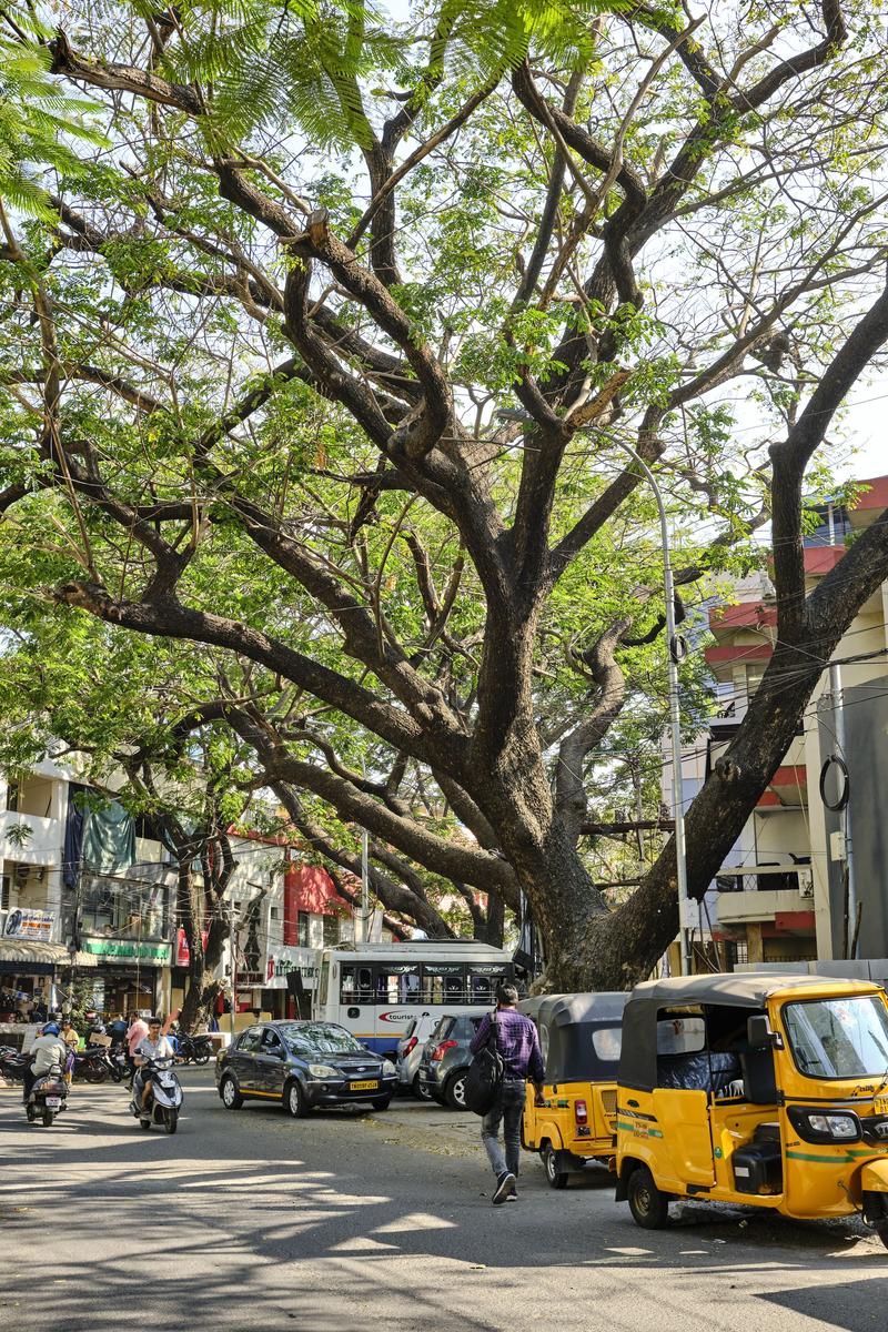 Chennai, India