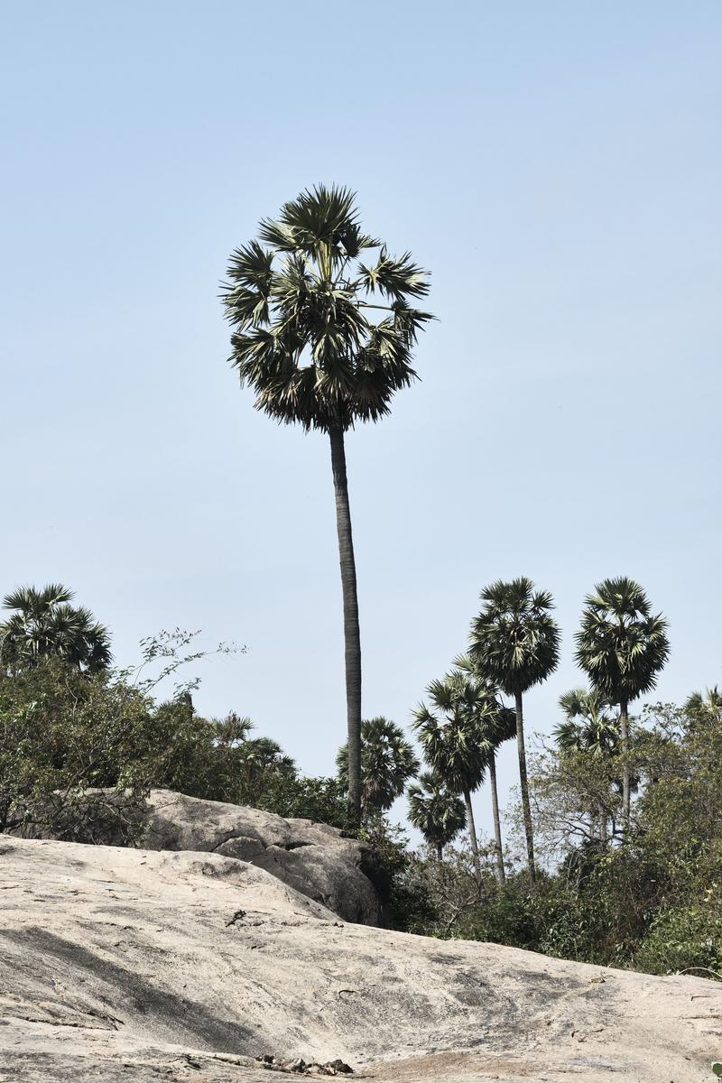 Chennai, India