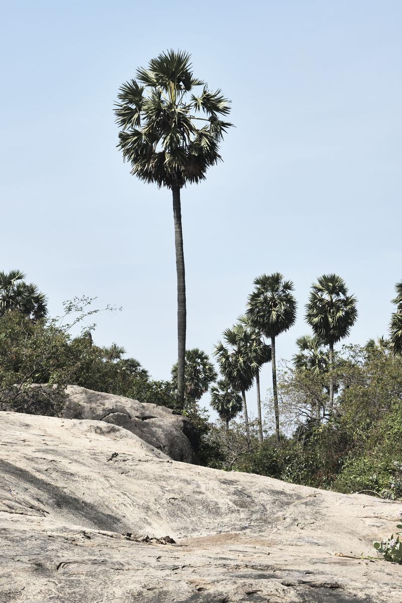 Chennai, India