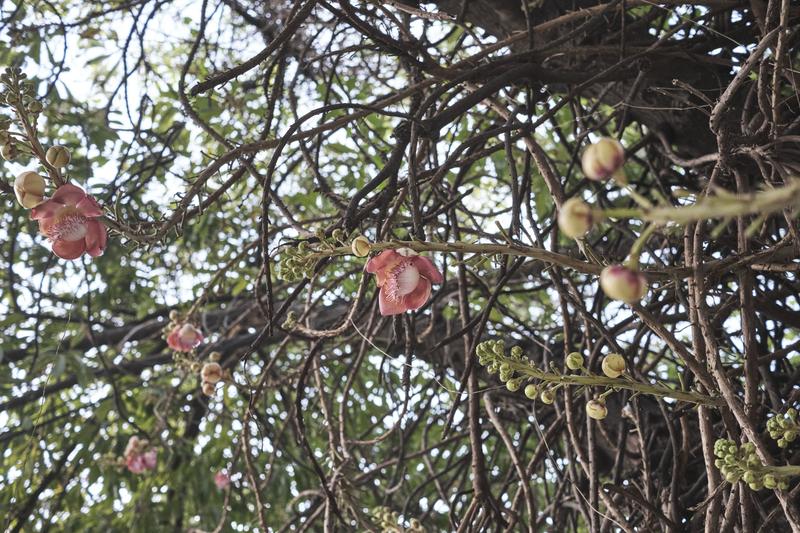 Chennai, India