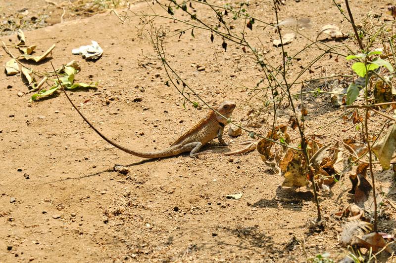 Kerala, India