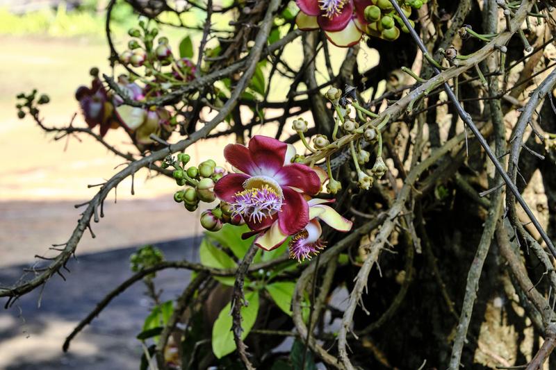 Kerala, India