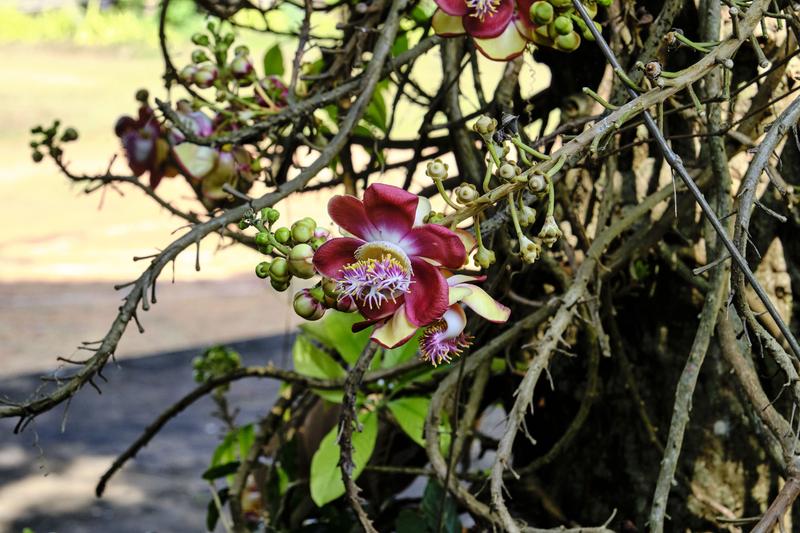 Kerala, India