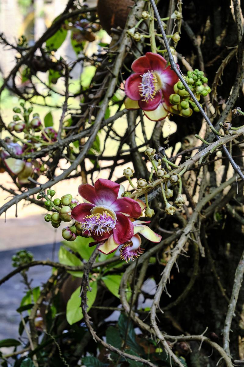 Kerala, India