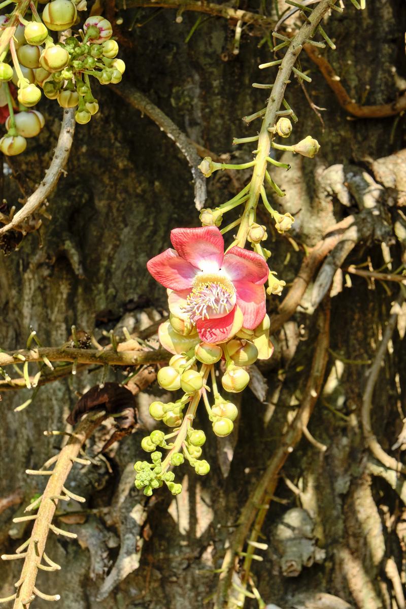 Kerala, India