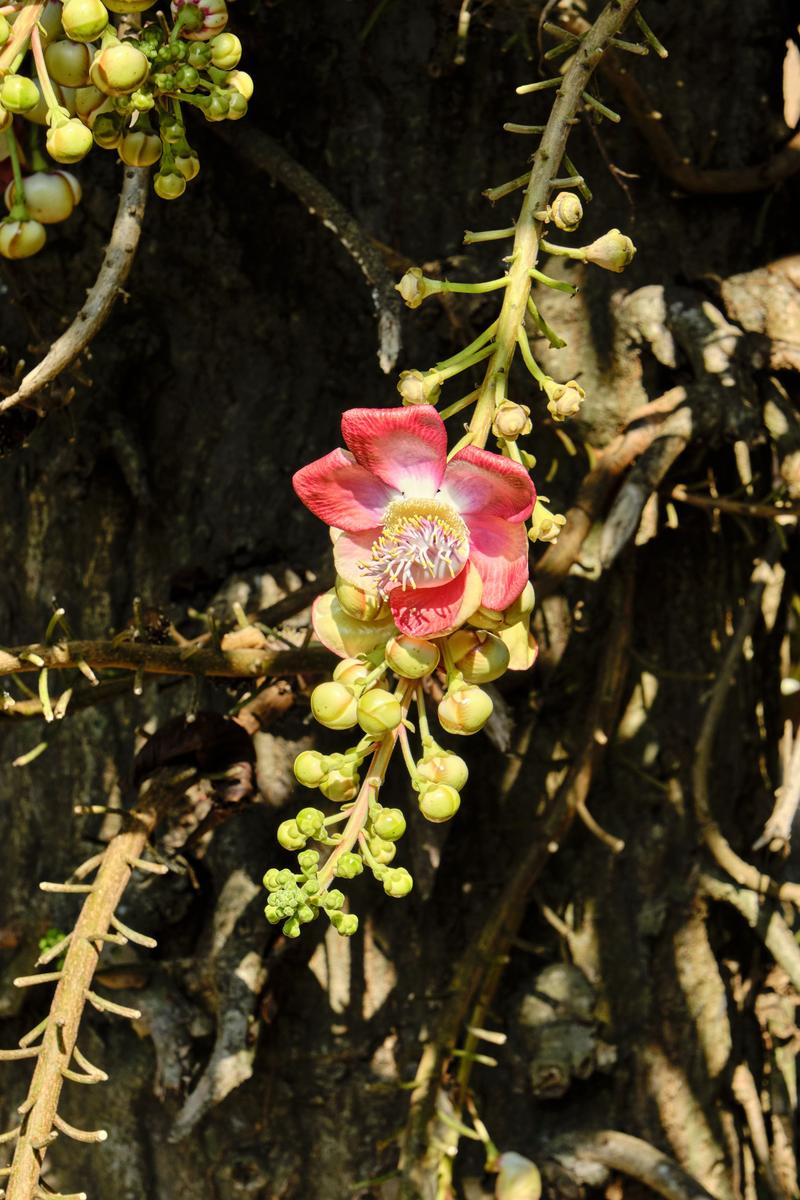 Kerala, India