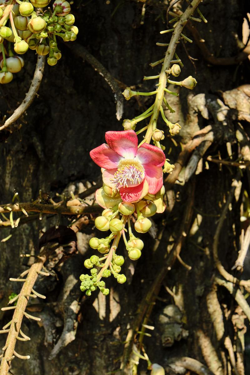 Kerala, India