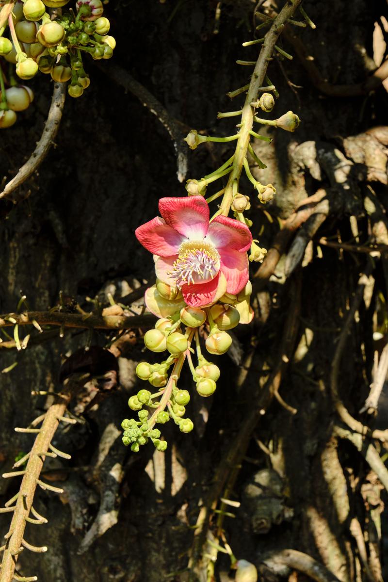 Kerala, India