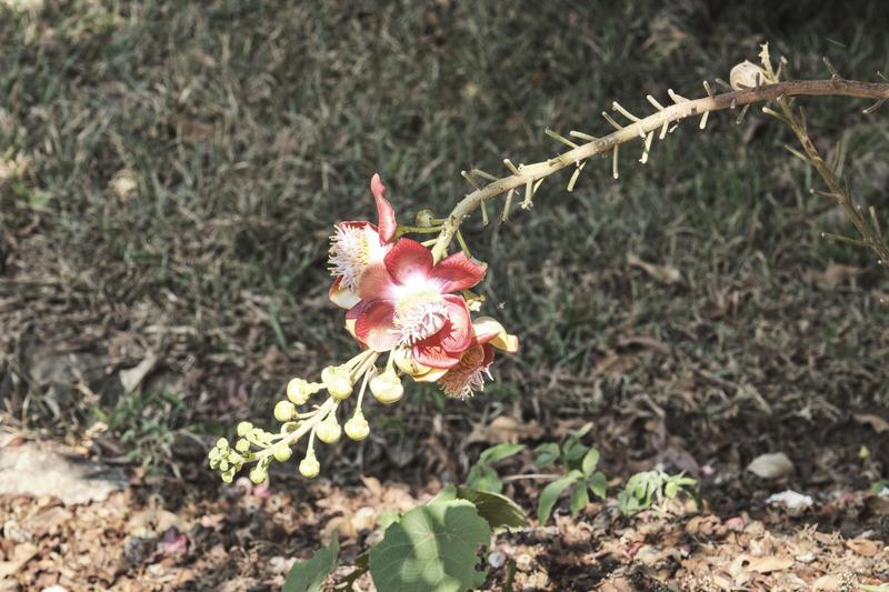 Kerala, India