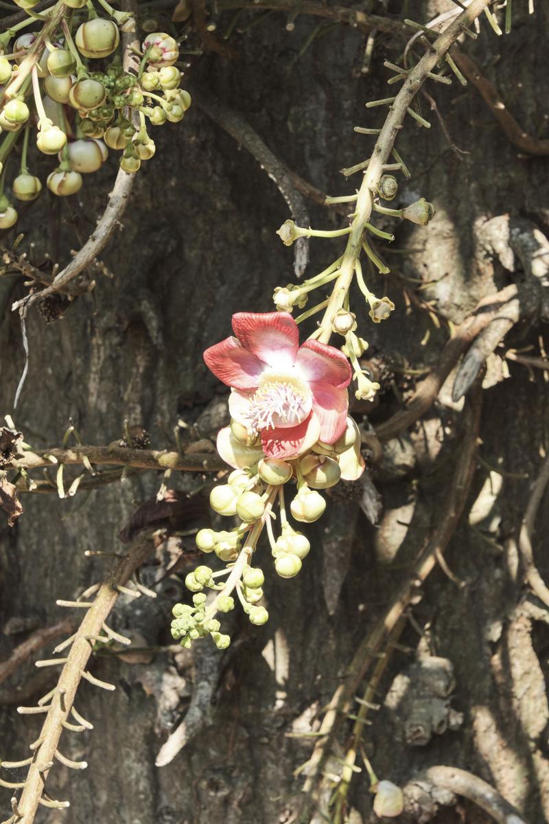 Kerala, India