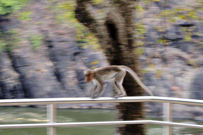 Kerala, India