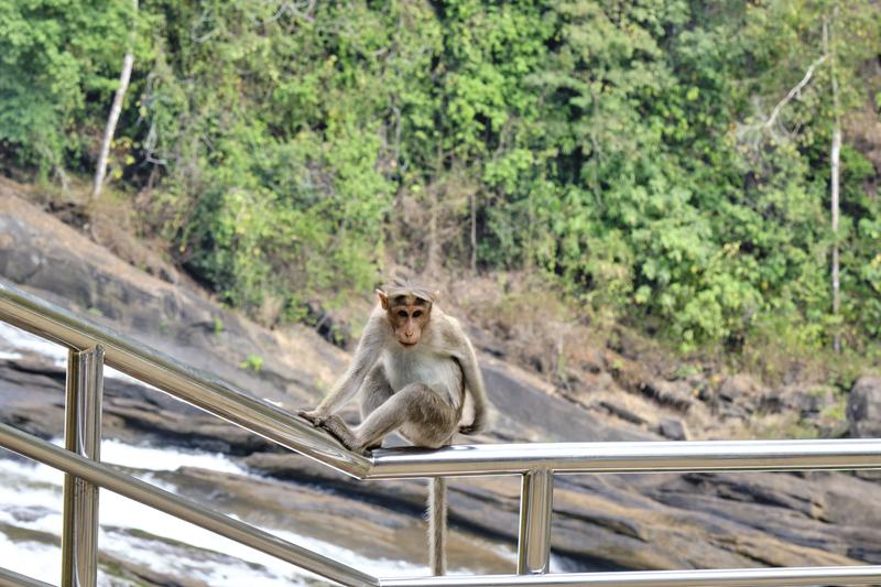 Kerala, India