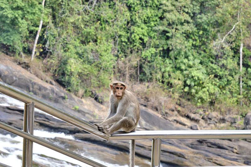 Kerala, India