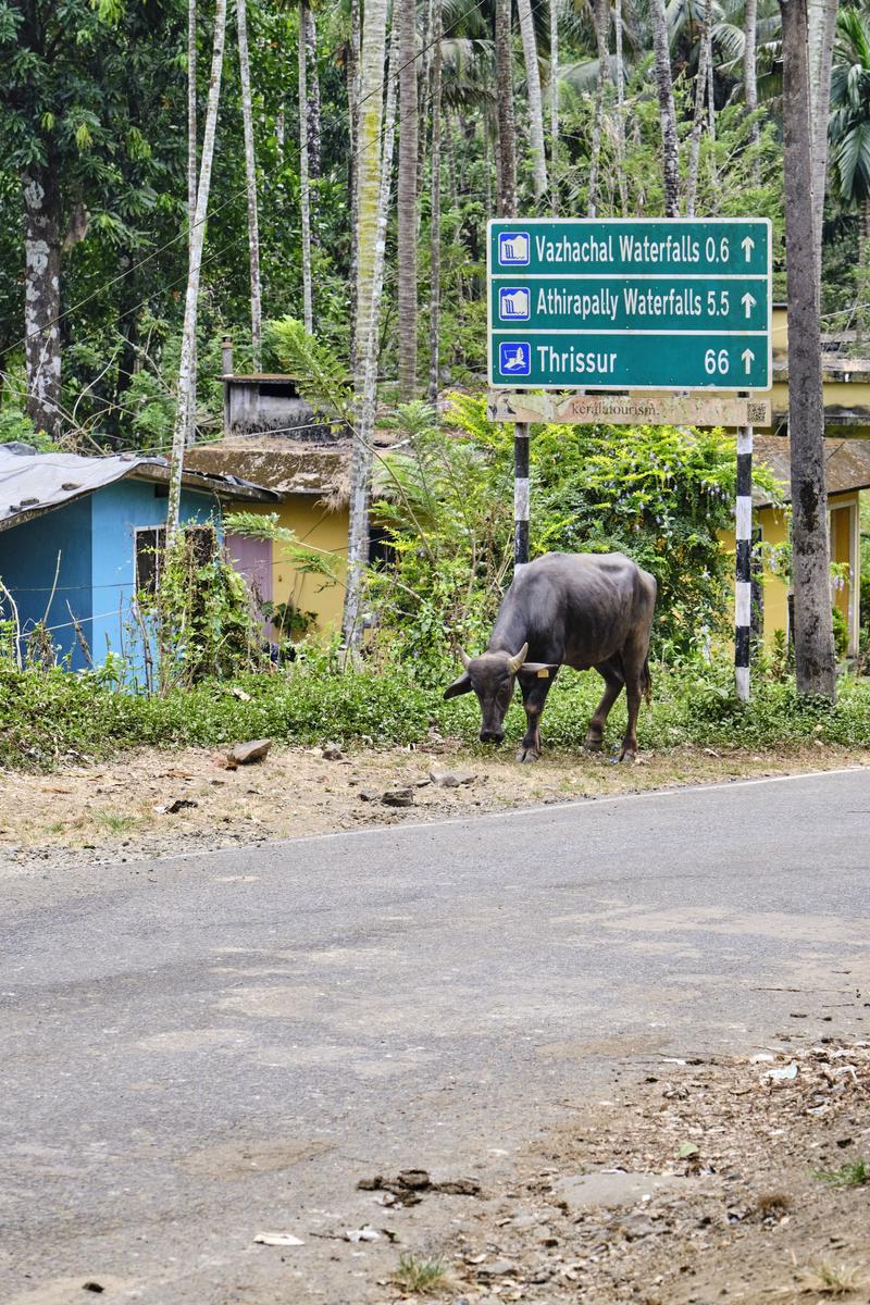 Kerala, India