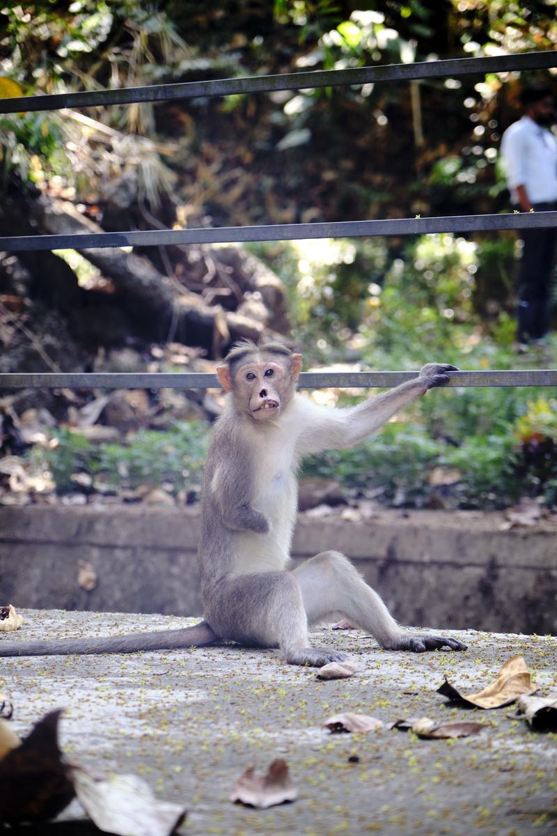 Kerala, India