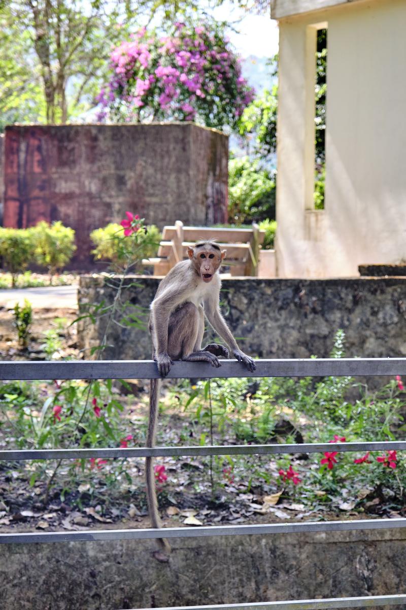 Kerala, India