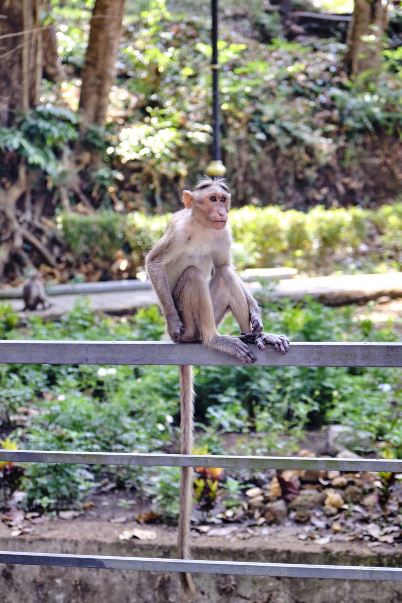 Kerala, India