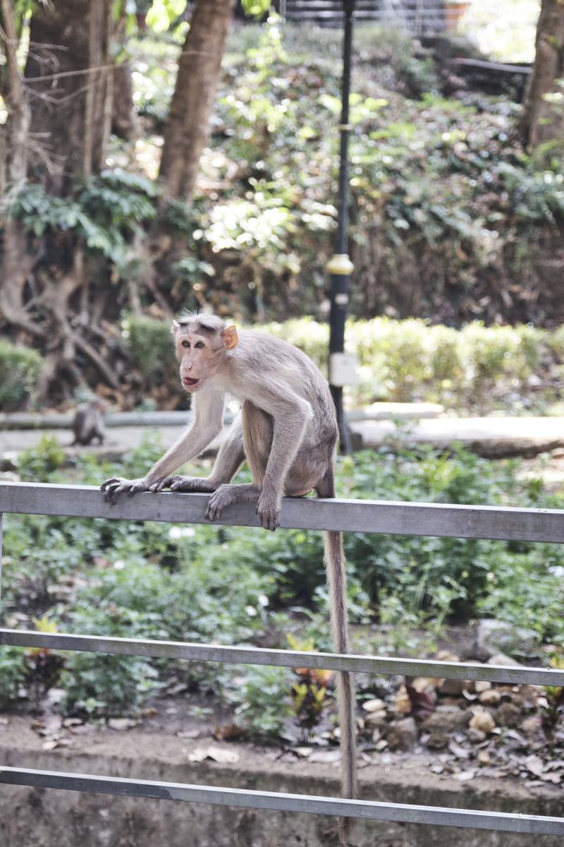 Kerala, India