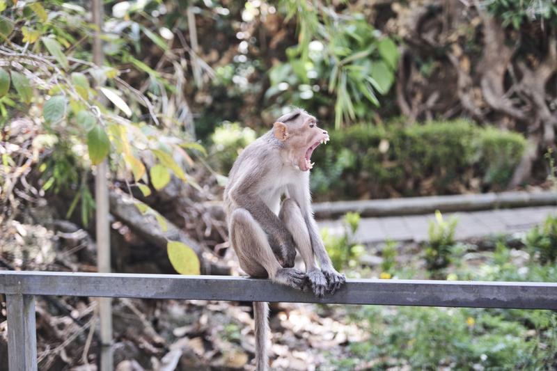 Kerala, India