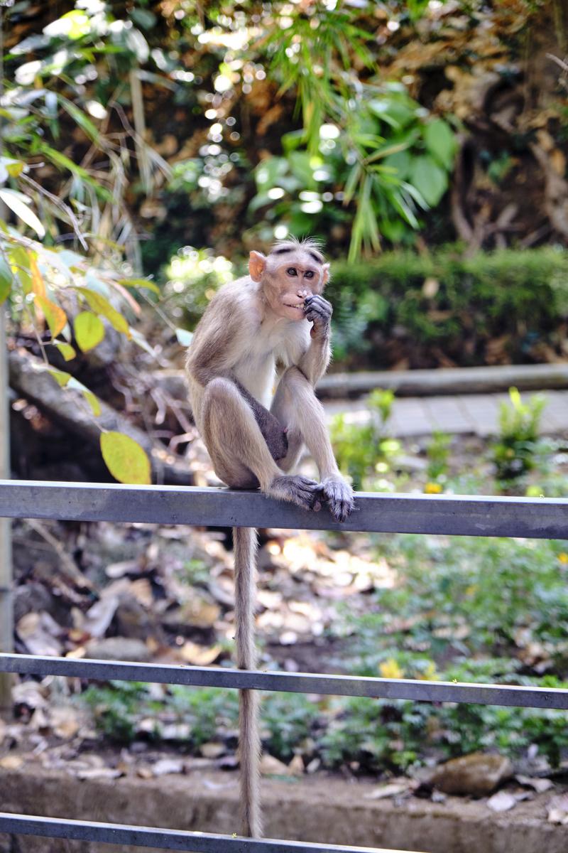 Kerala, India