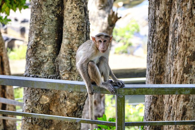 Kerala, India