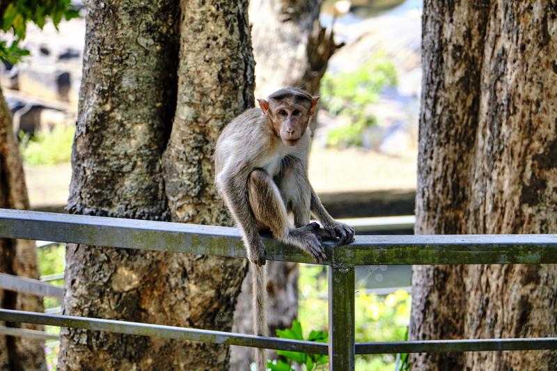 Kerala, India