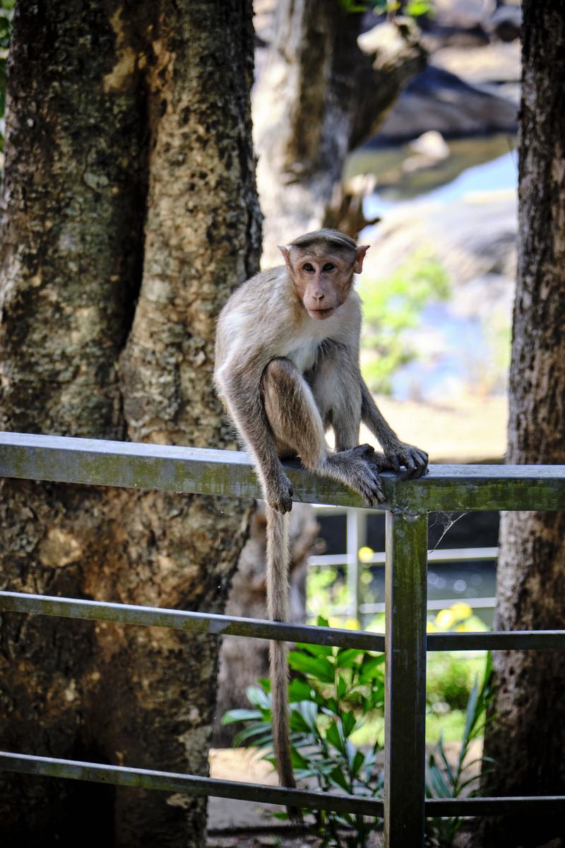 Kerala, India