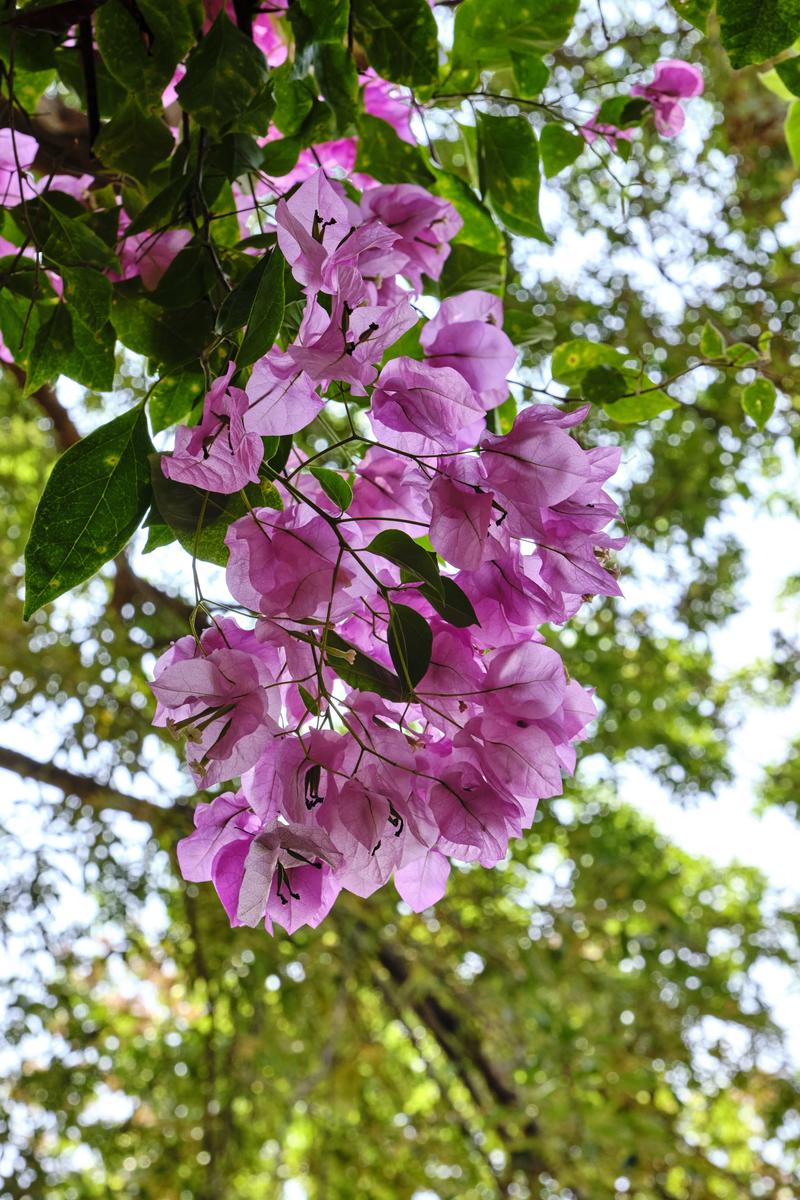 Kerala, India