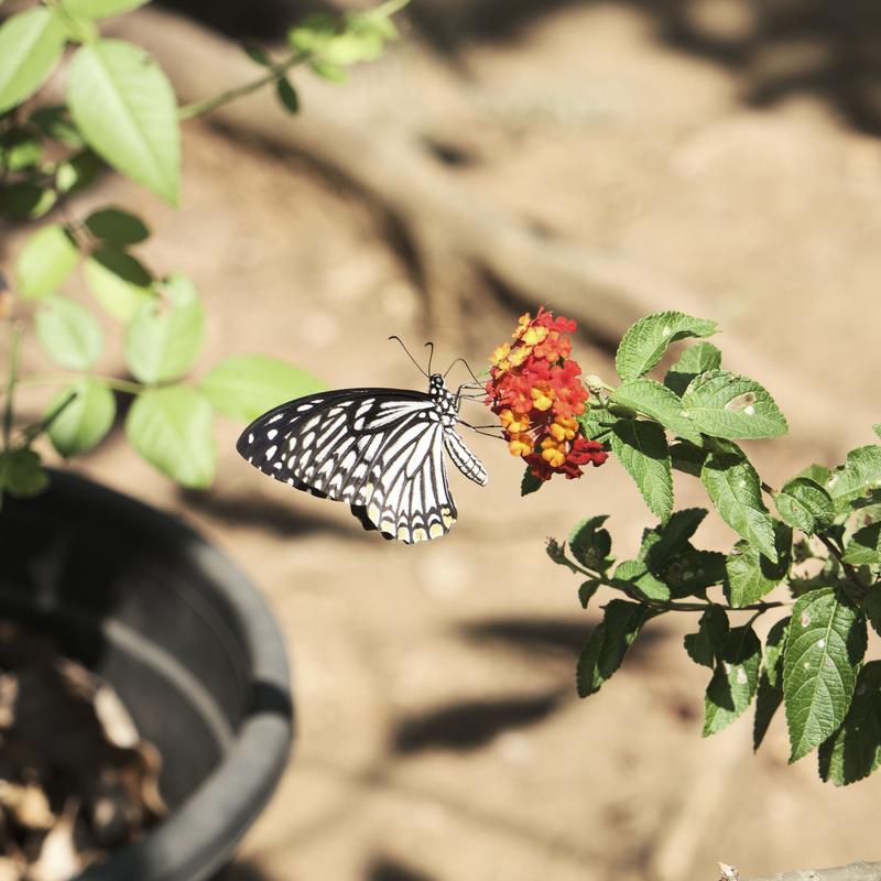 Kerala, India