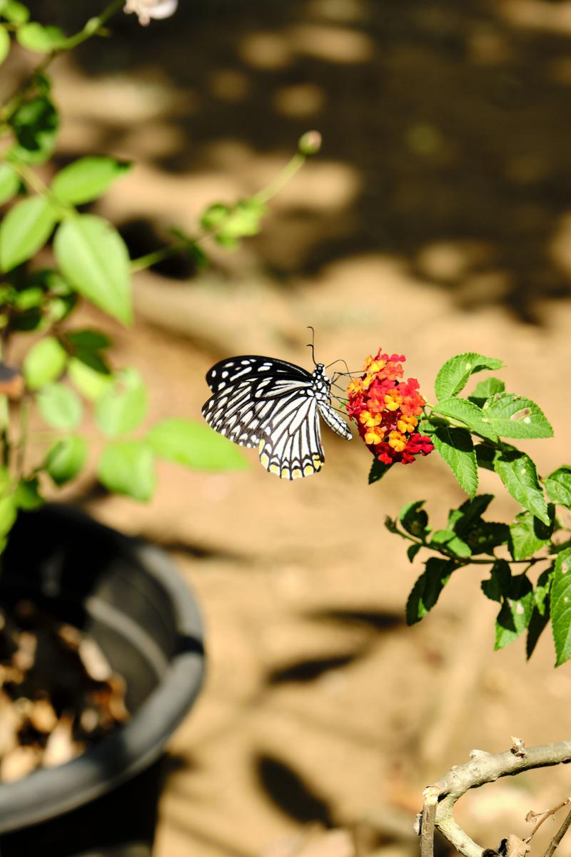 Kerala, India