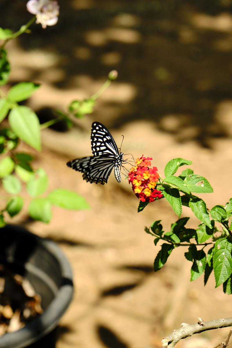 Kerala, India