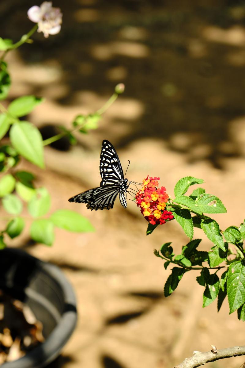 Kerala, India