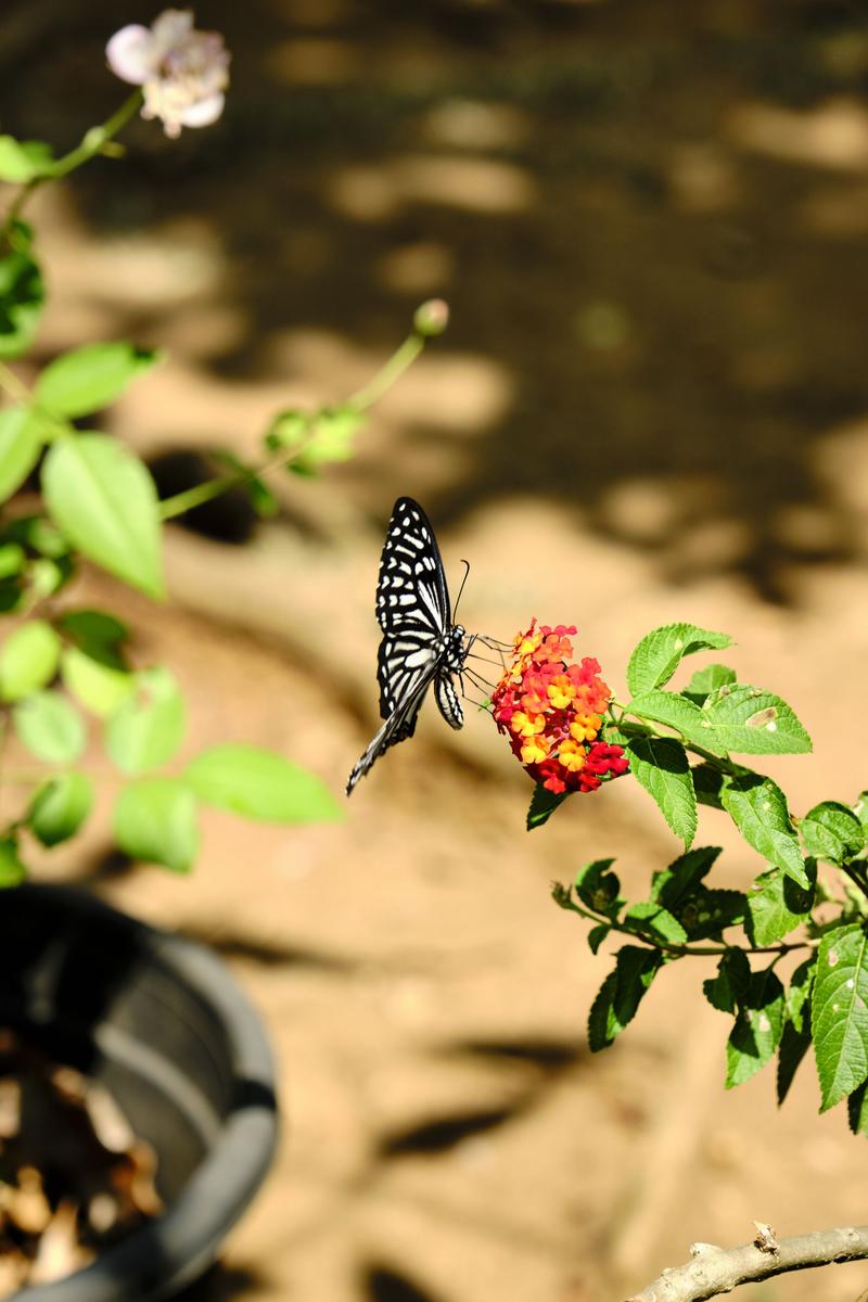 Kerala, India