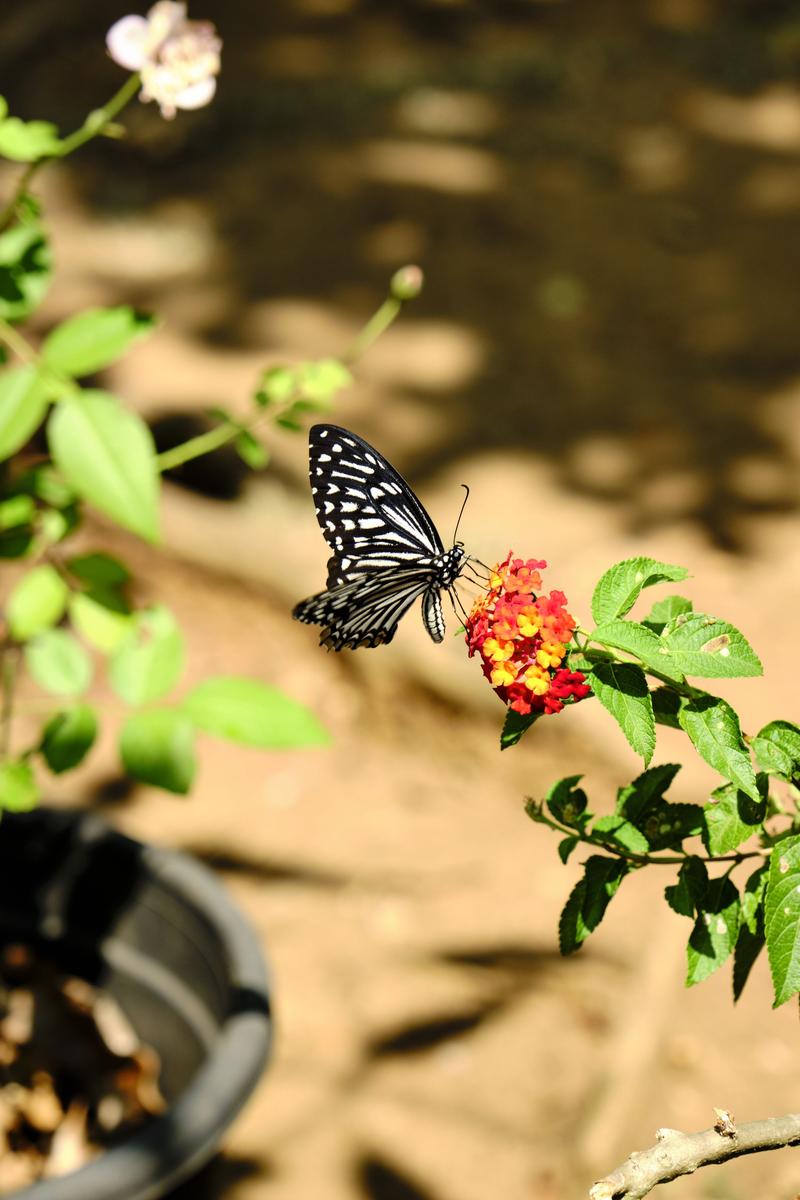 Kerala, India