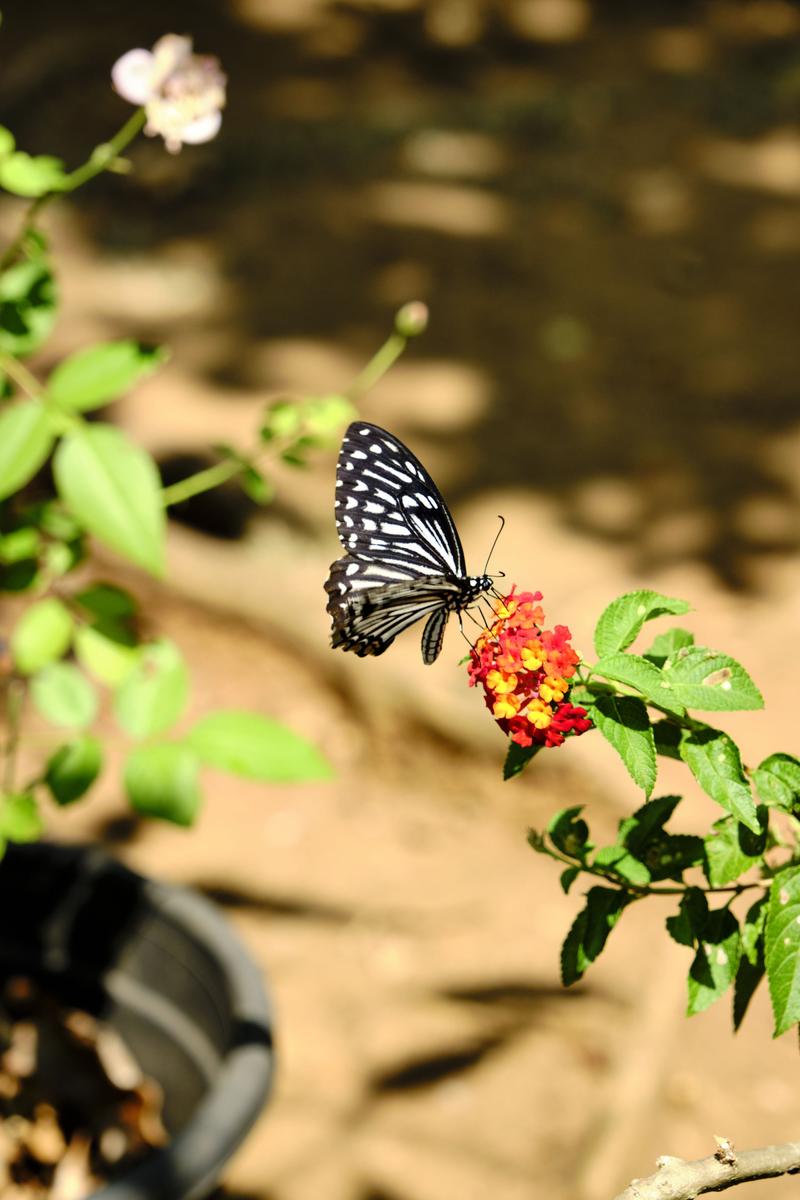 Kerala, India