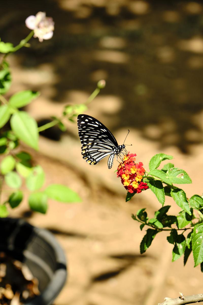 Kerala, India