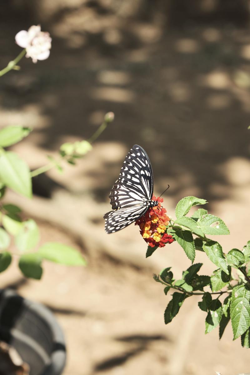 Kerala, India