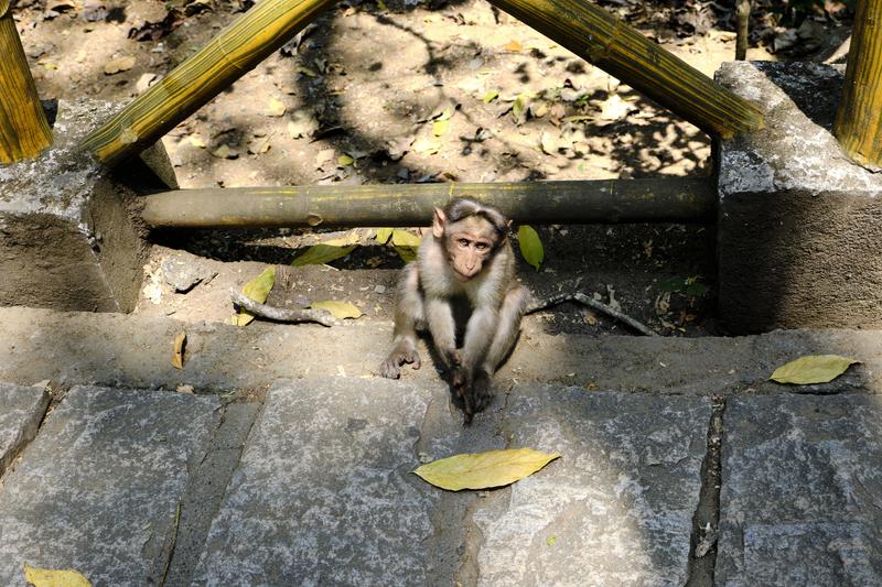 Kerala, India