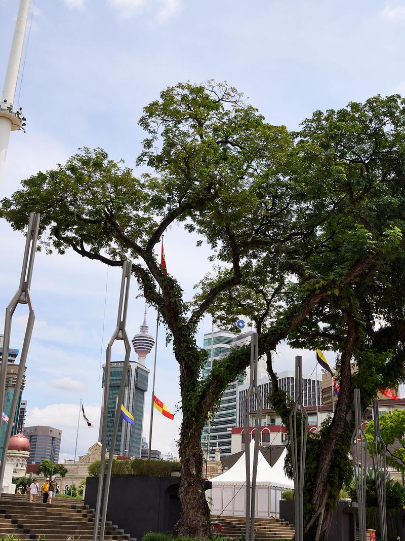 Park and city views, Kuala Lumpur, Malaysia