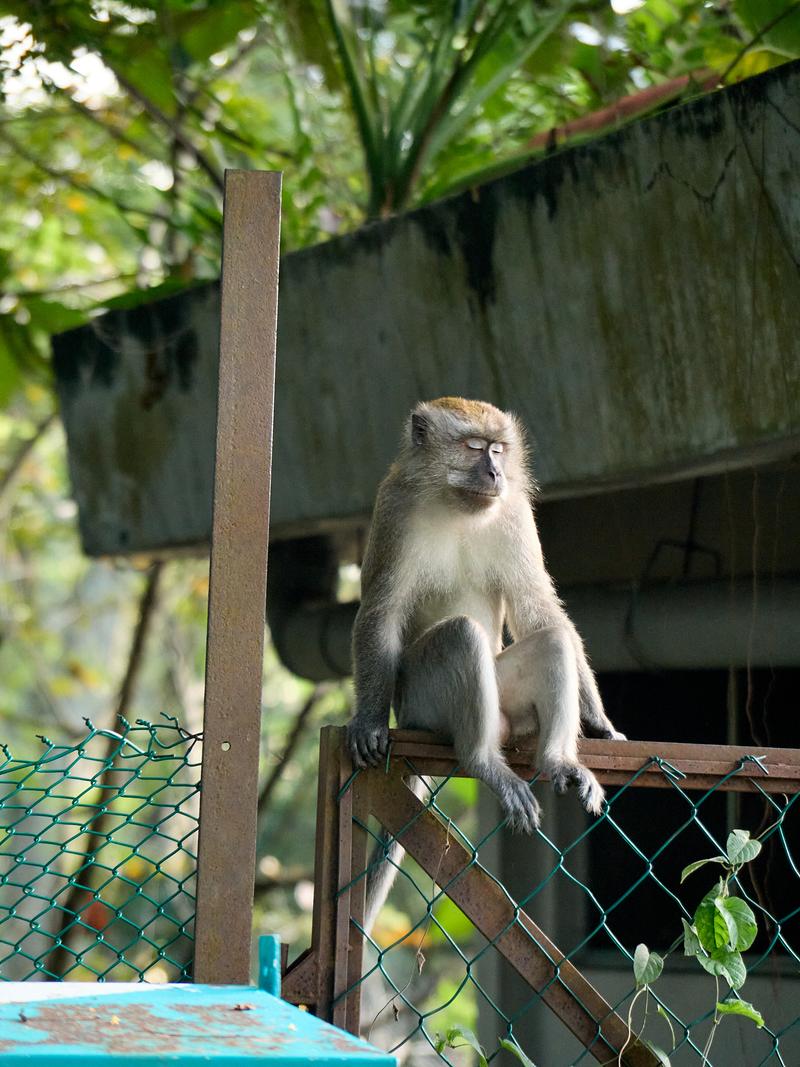 Bird Park, Kuala Lumpur, Malaysia