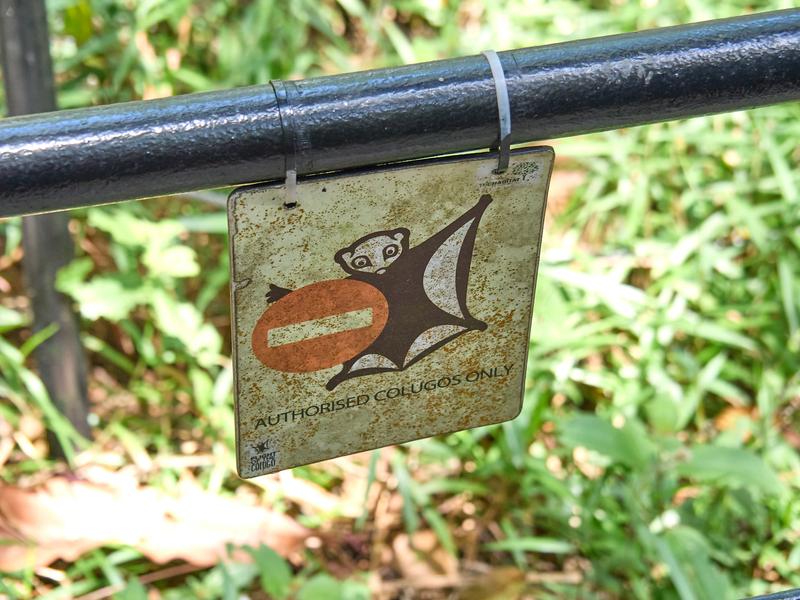 Authorized Colugos only sign, The Habitat, Penang Hill, Penang, Malaysia