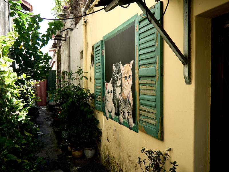 Four cats in a window street art, Penang, Malaysia